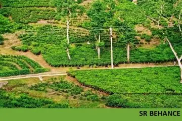 মৌলভীবাজার জেলা প্রশাসণের তৈরি শ্রীমঙ্গলের প্রবেশ পথে দৃষ্টিনন্দন ‘চা-কন্যা’ ভাস্কর্য নির্মিত হয়েছে সাতগাঁও চা-বাগানের সহায়তায়।